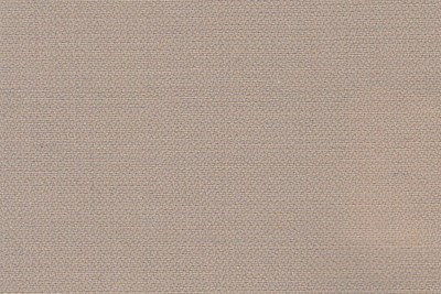 Beige Plain